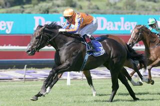 Splurge claims the G3 Darley Plate. Photo: Trish Dunell
